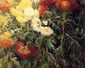 古斯塔夫 卡里伯特 : Chrysanthemums Garden at Petit Gennevilliers